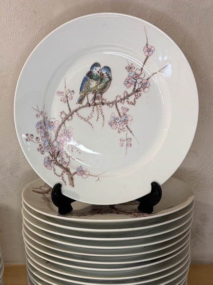 VAJILLA EN PORCELANA ESMALTADA.