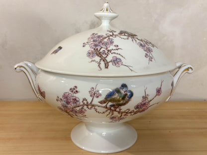 VAJILLA EN PORCELANA ESMALTADA.