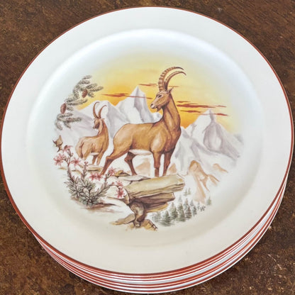 PLATOS LLANOS VINTAGE , FAUNA DEL BOSQUE.