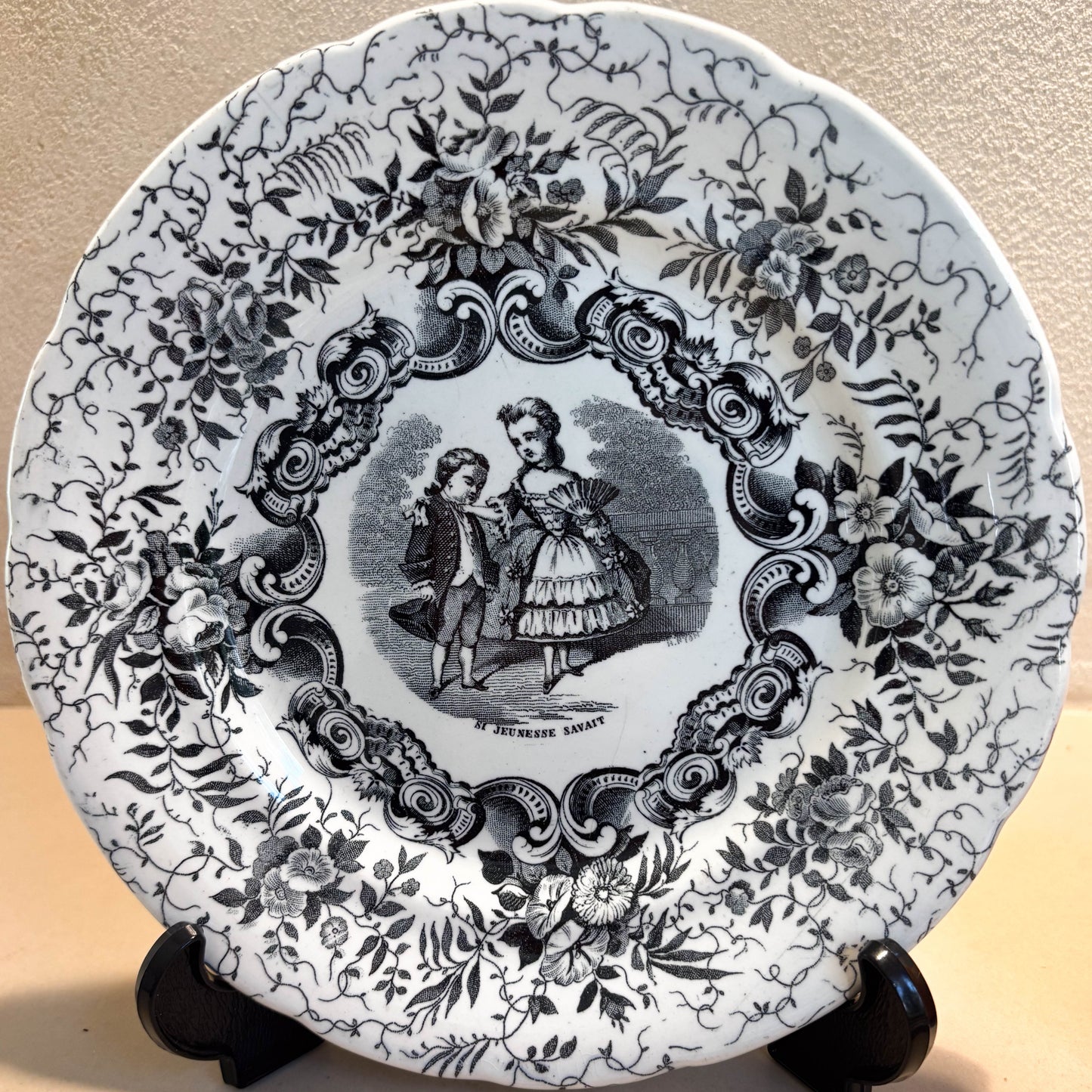 PLATOS PARLANTES "SI JEUNESSE SAVAIT"