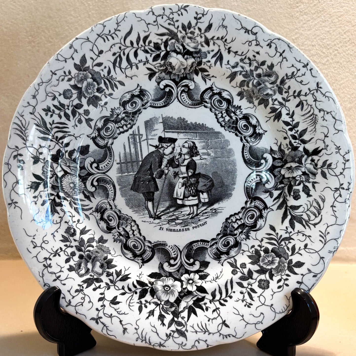 PLATOS PARLANTES "SI JEUNESSE SAVAIT"