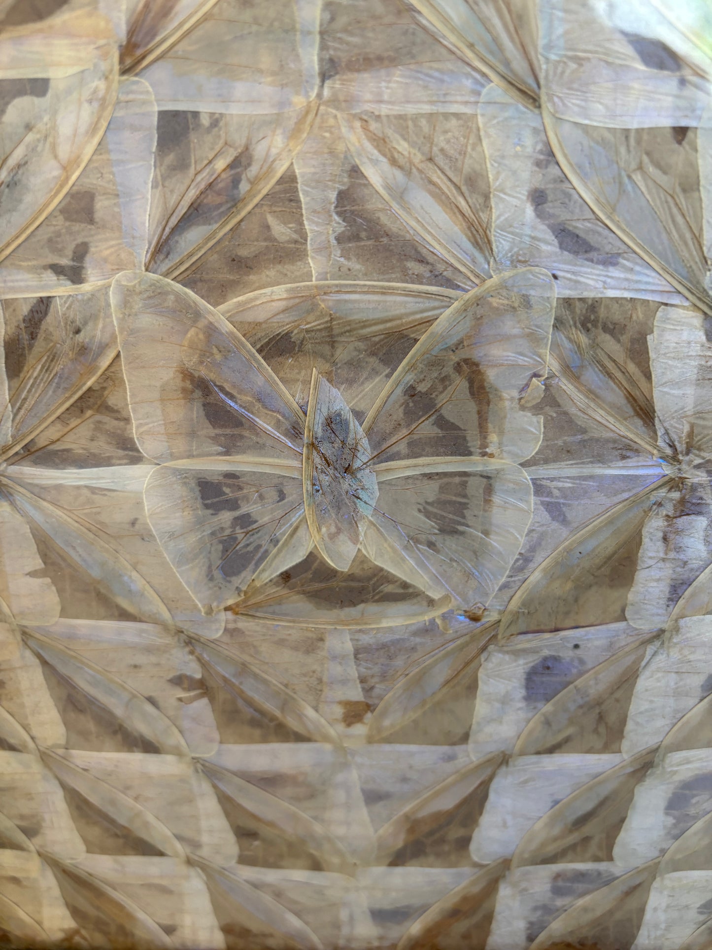 BANDEJA VINTAGE DE ALAS DE MARIPOSAS.