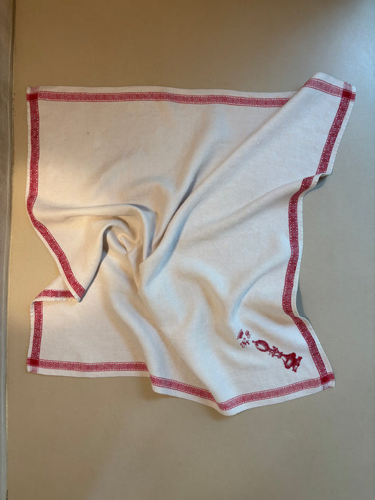 PAÑO DE COCINA DE LINO GRUESO.