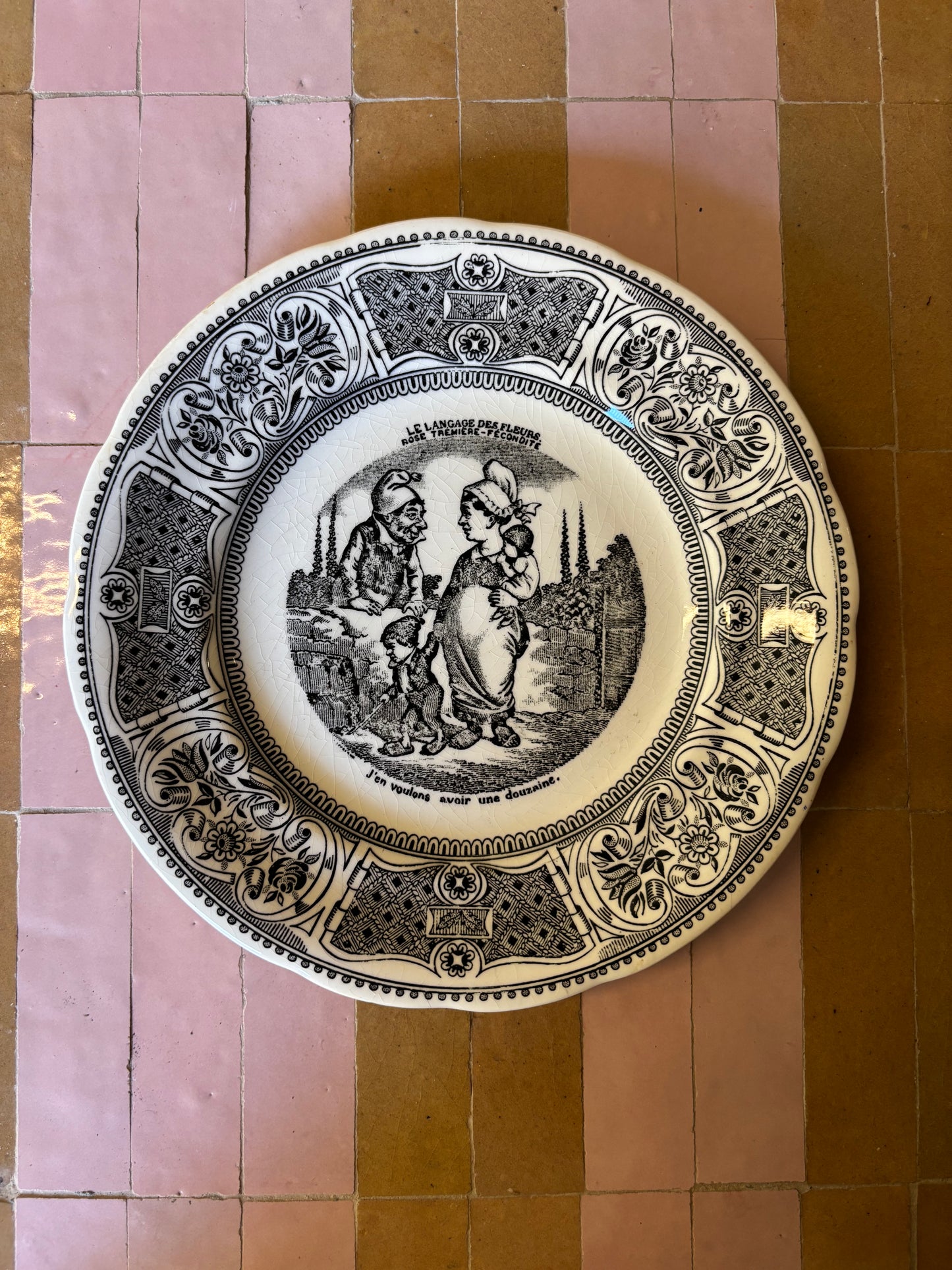 PLATOS PARLANTES "LE LANGAGE DES FLEURS".