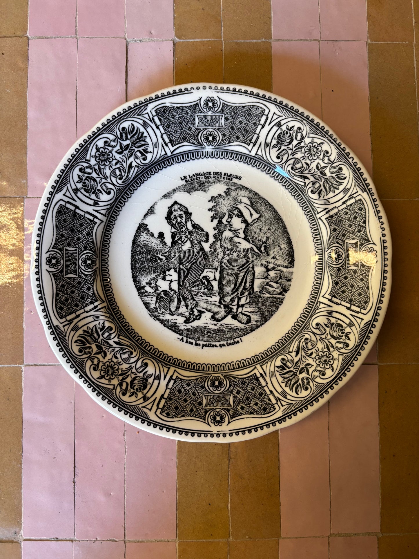 PLATOS PARLANTES "LE LANGAGE DES FLEURS".