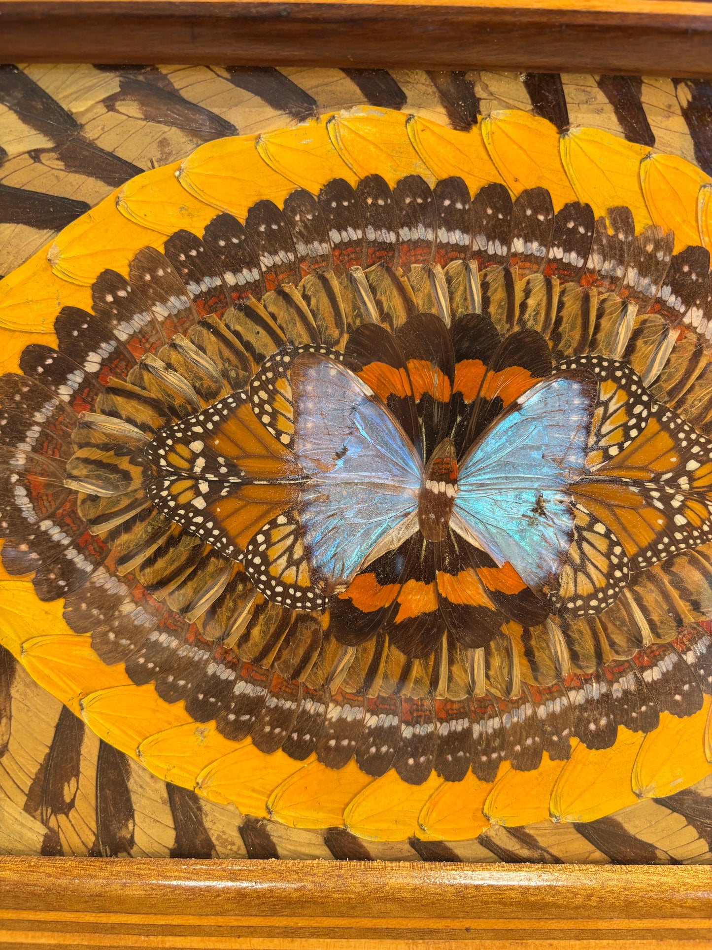 BANDEJA VINTAGE DE ALAS DE MARIPOSAS.