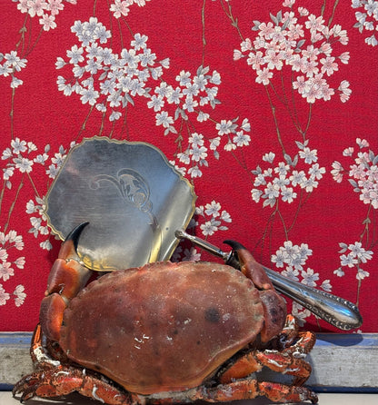 ESPATULA ANTIGUA PARA SERVIR  TARTAS